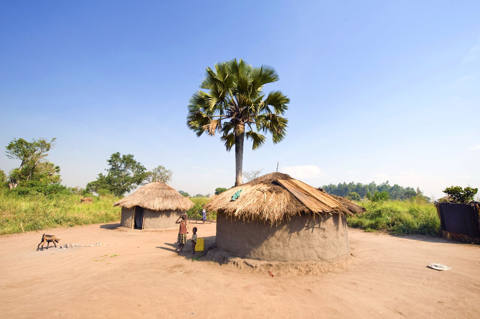 Nikon D3 sample photo. Hut, africa, northern uganda photography