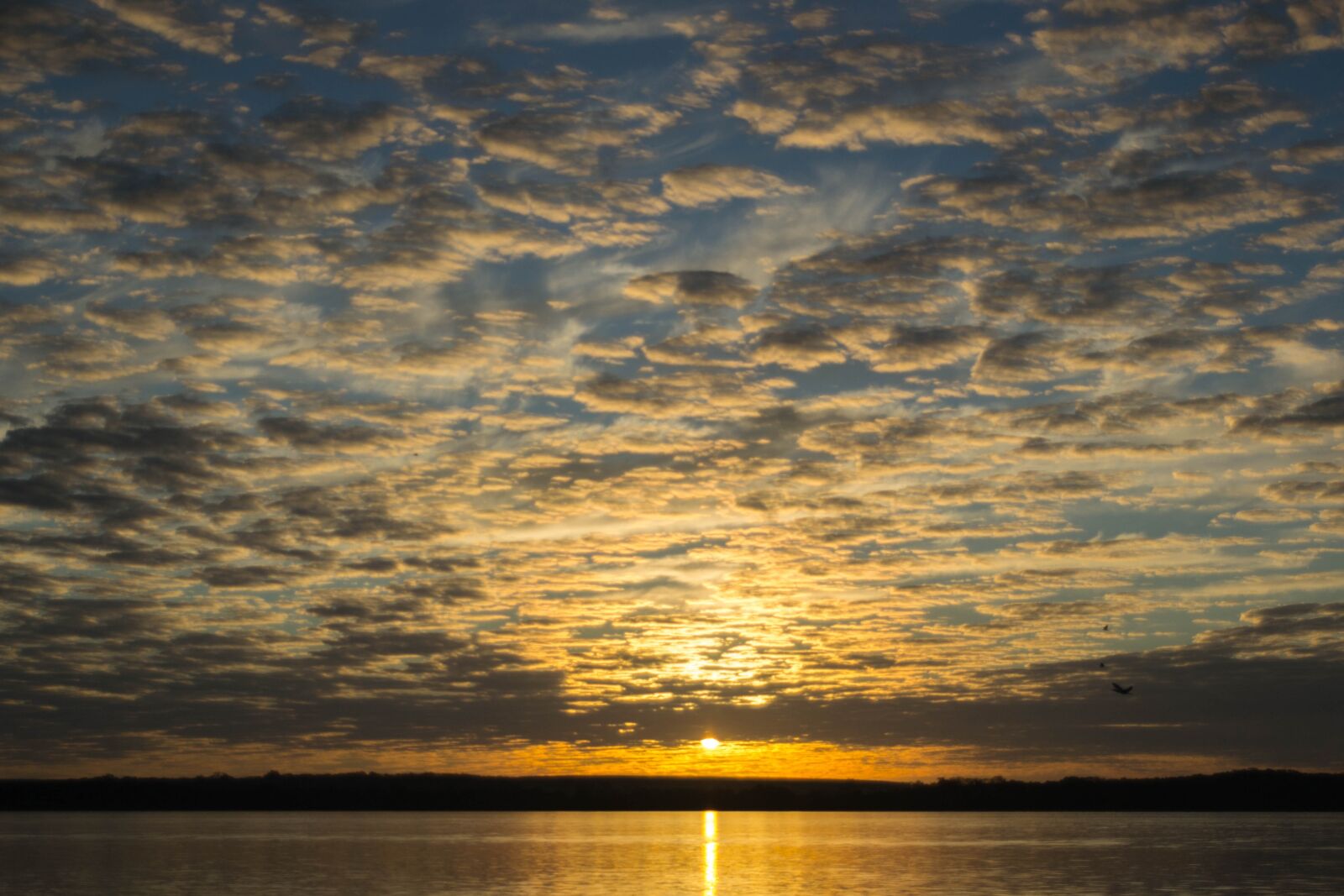 Nikon D3100 sample photo. Rio, twilight, eventide photography