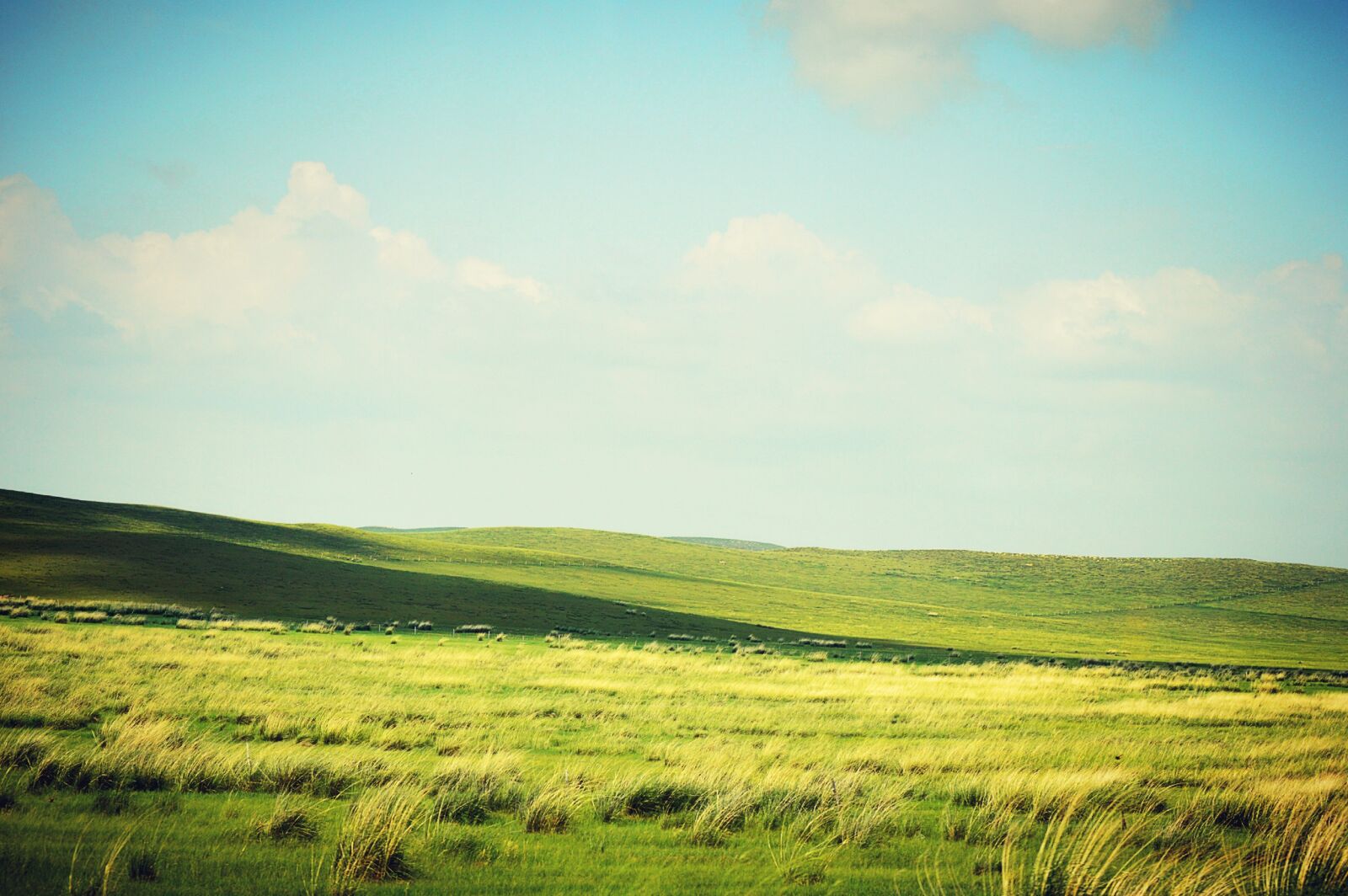 Nikon D3200 sample photo. Prairie, gol, white cloud photography