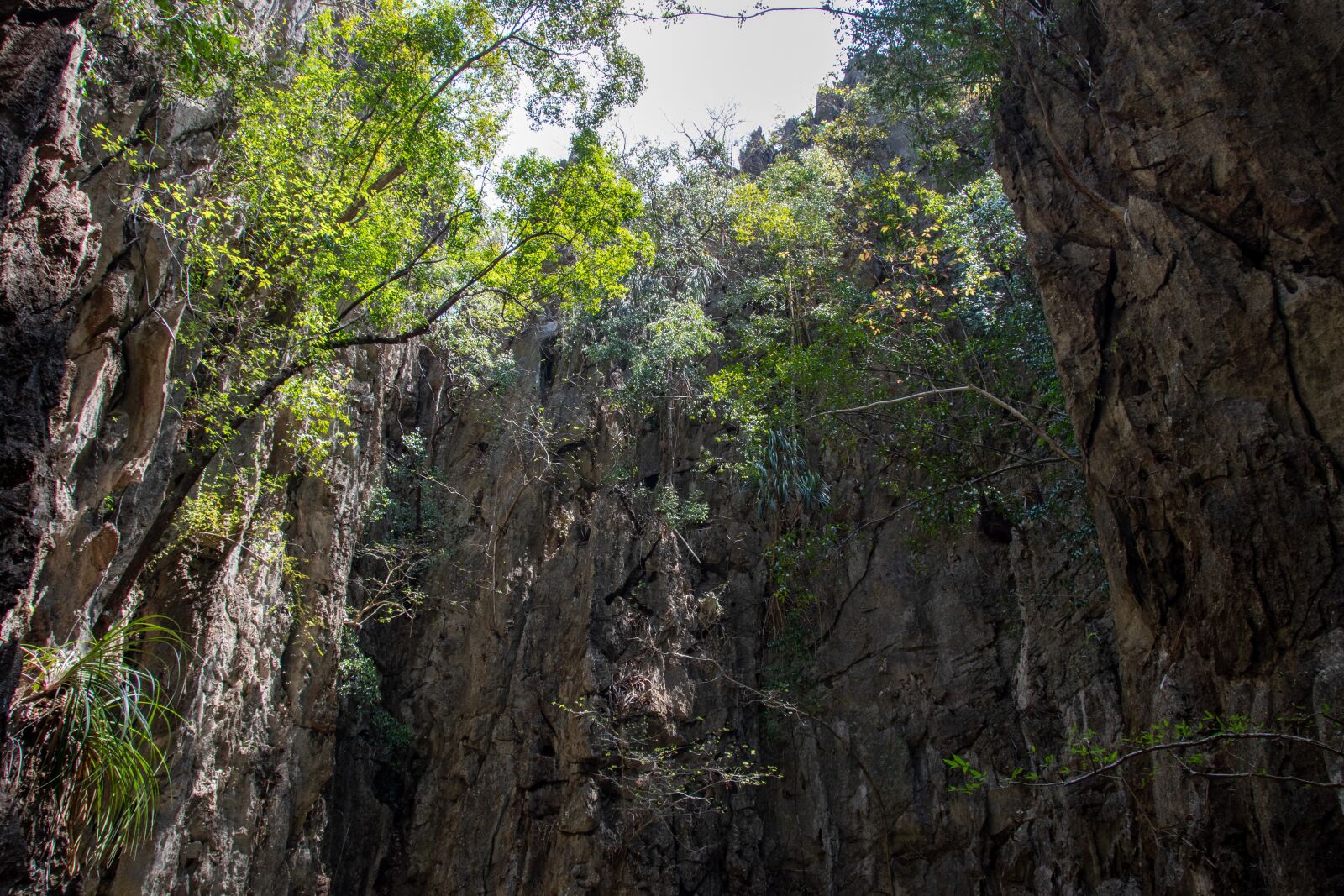 Nikon D5600 sample photo. Mountains, trees, rocks photography