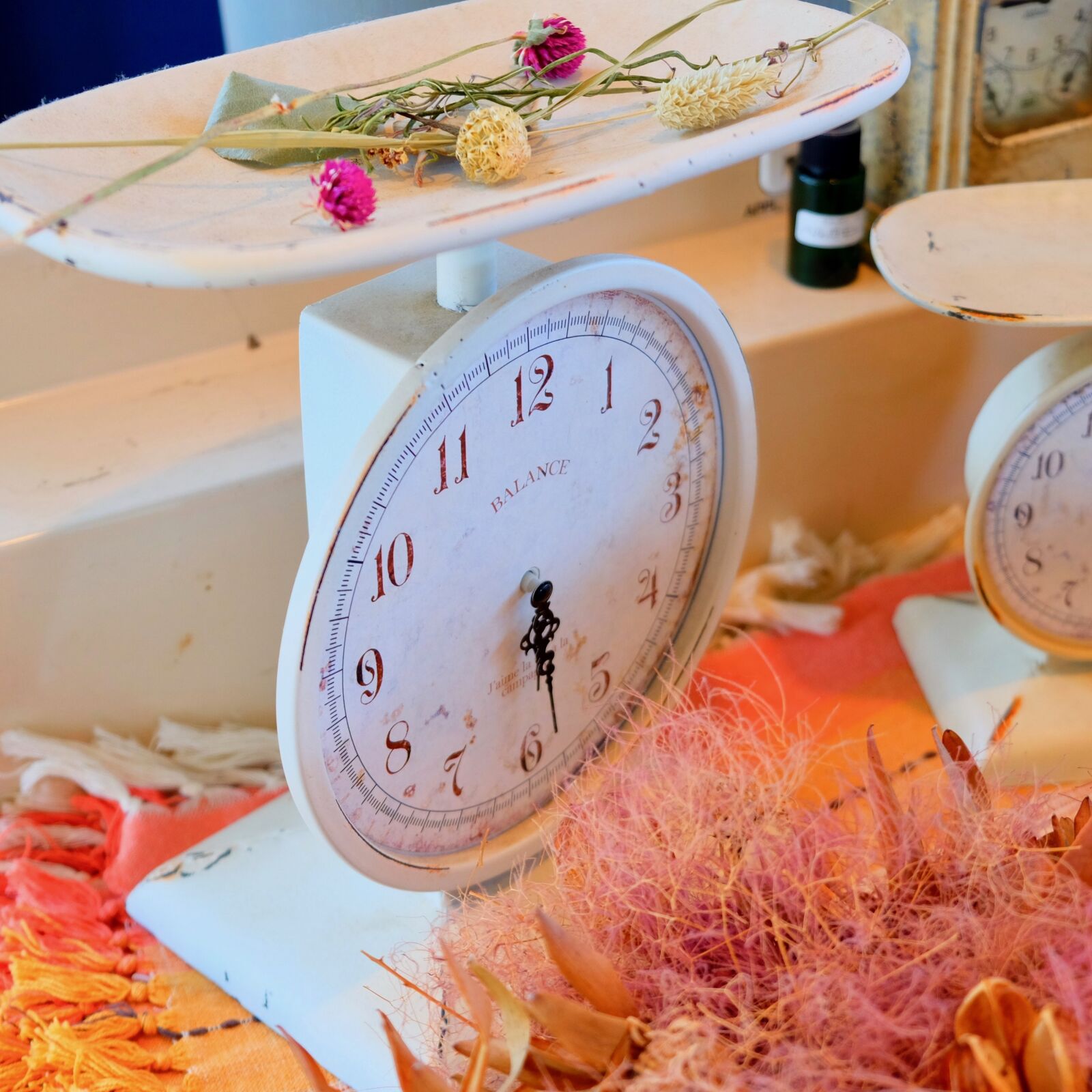 Fujifilm X-T10 sample photo. Measure, dried flower, floral photography