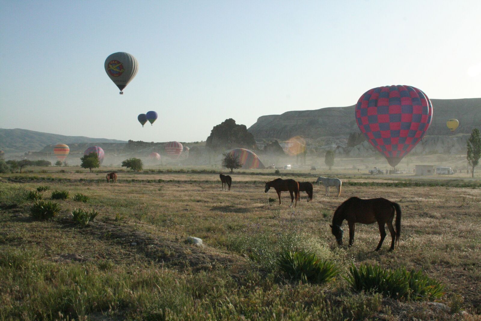 Canon EOS 350D (EOS Digital Rebel XT / EOS Kiss Digital N) sample photo. Balloon, balloons, ballooning photography