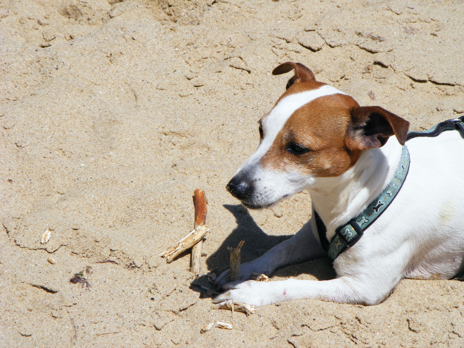 Fujifilm FinePix S5700 S700 sample photo
