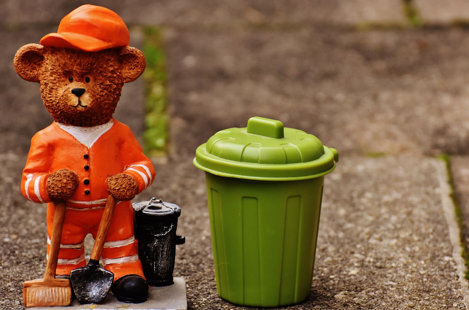 Nikon D7200 sample photo. Bear, profession, refuse collector photography