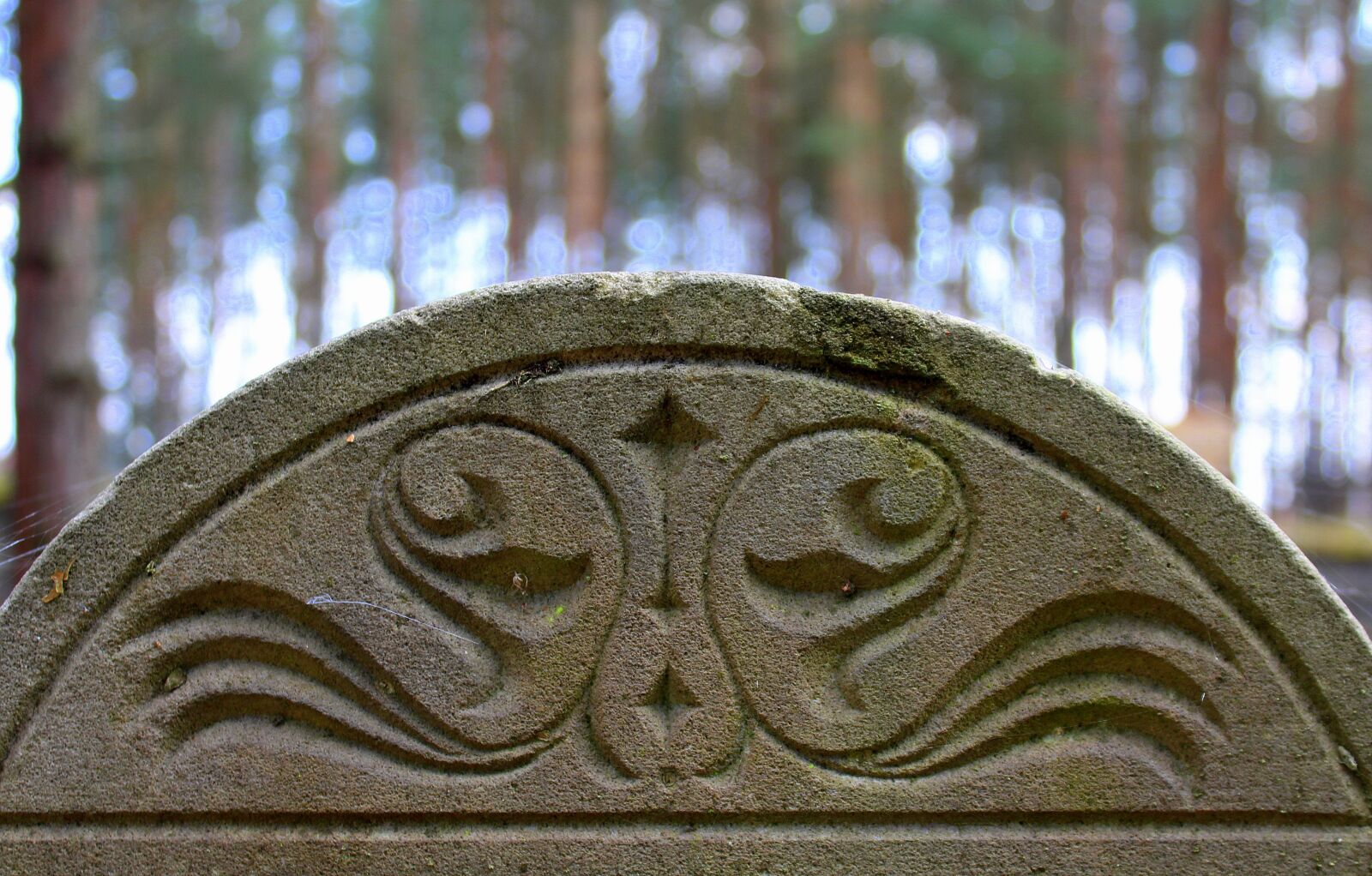 Canon EOS 1200D (EOS Rebel T5 / EOS Kiss X70 / EOS Hi) sample photo. Monument, stone board, cemetery photography