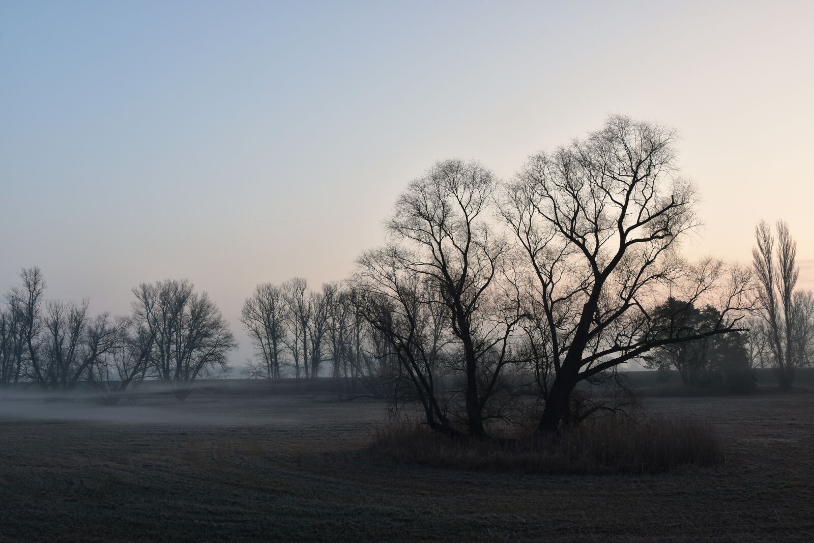 Nikon D5600 sample photo. Fog, fog banks, morgenstimmung photography