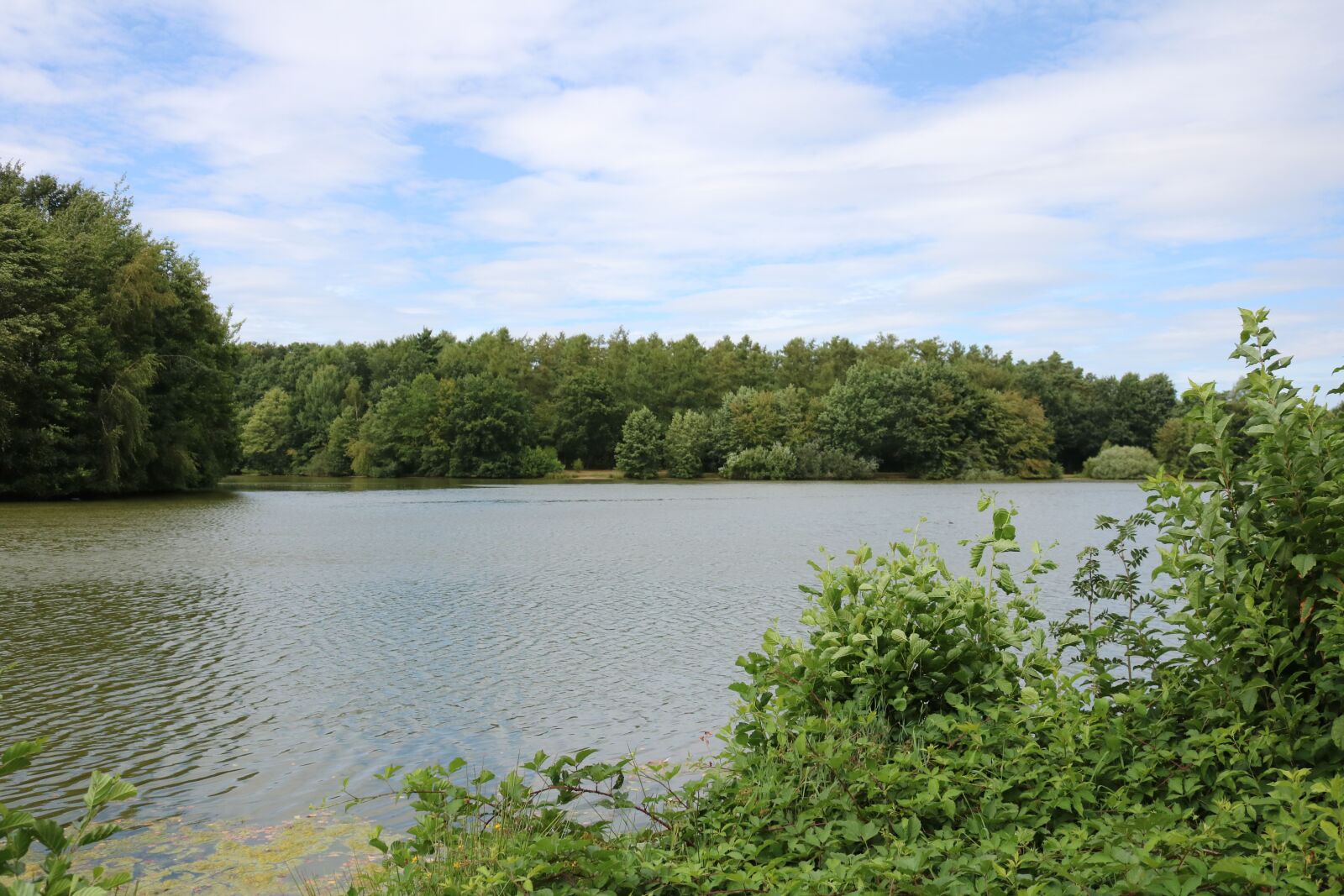 Canon EOS 750D (EOS Rebel T6i / EOS Kiss X8i) sample photo. Emsland, relaxation, lake photography