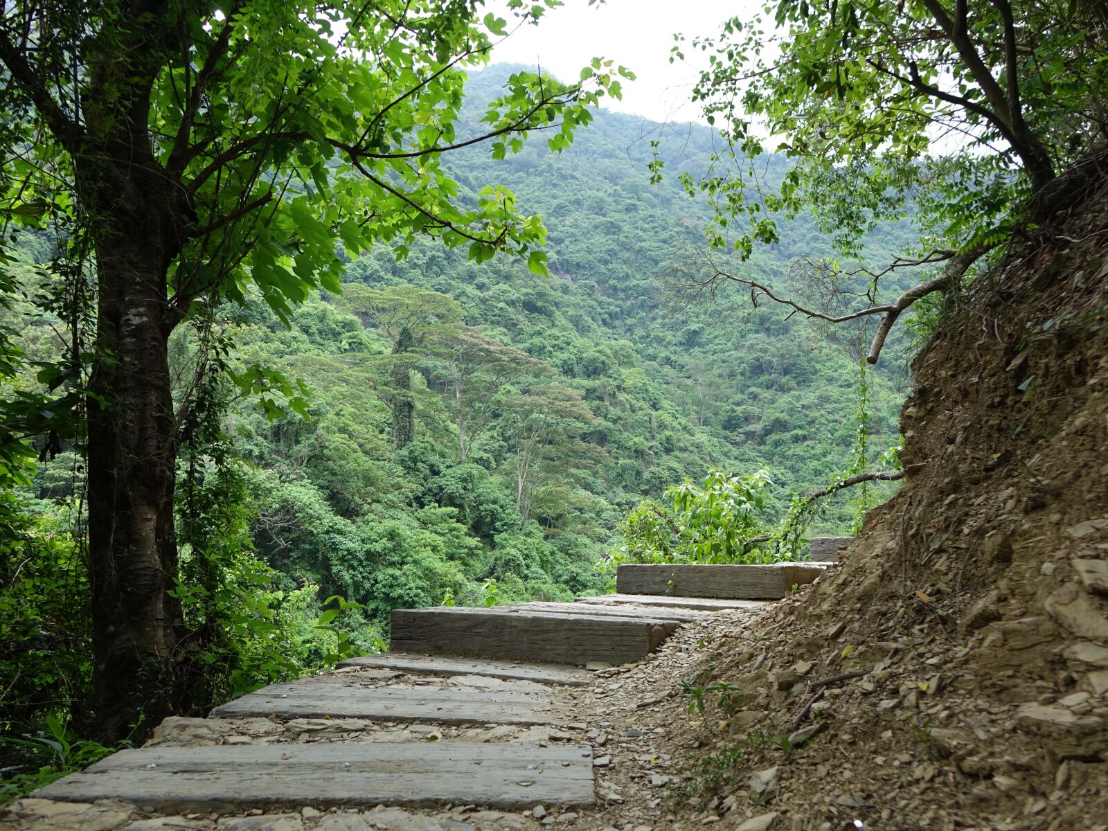 Sony Cyber-shot DSC-RX10 sample photo. Trail, aoyama, life-style 徑 photography