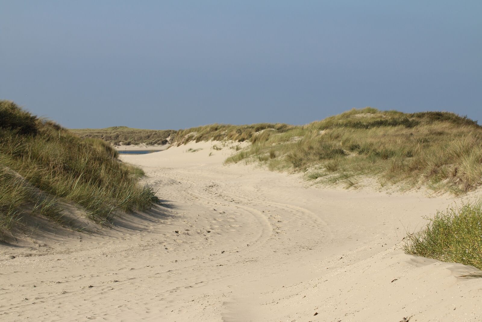 Canon EOS 70D sample photo. Dunes, plants, nature photography