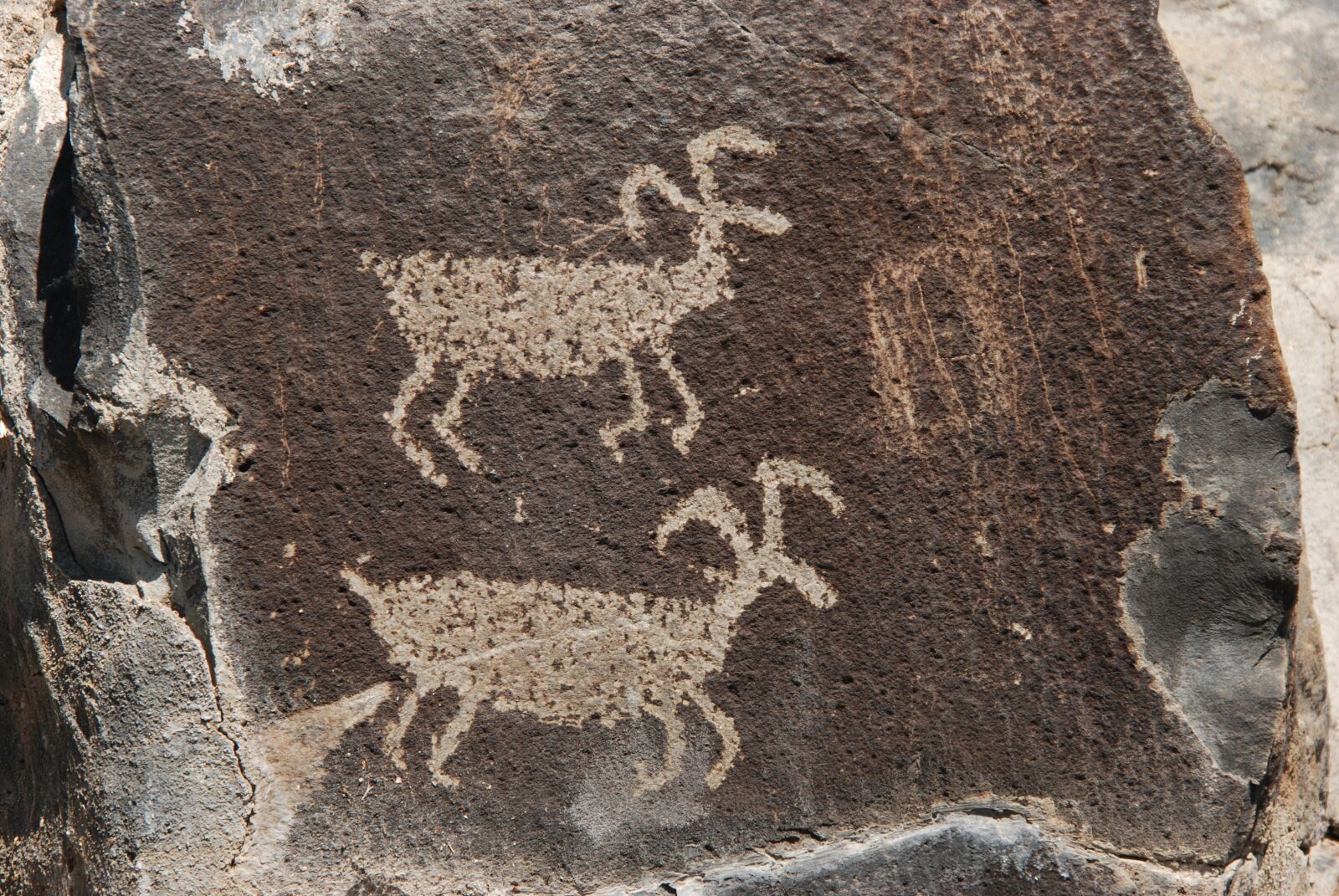 Nikon D80 sample photo. Petroglyph, image, scratches photography