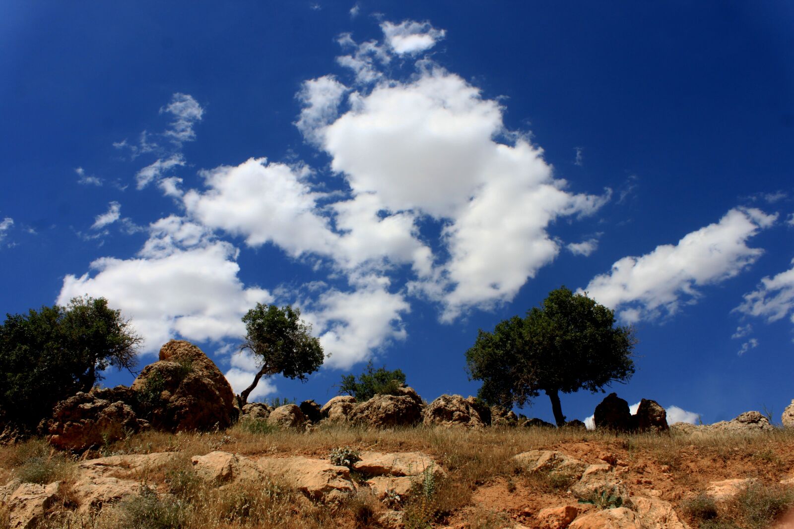 Canon EOS 500D (EOS Rebel T1i / EOS Kiss X3) sample photo. Landscape, nature, cloud photography