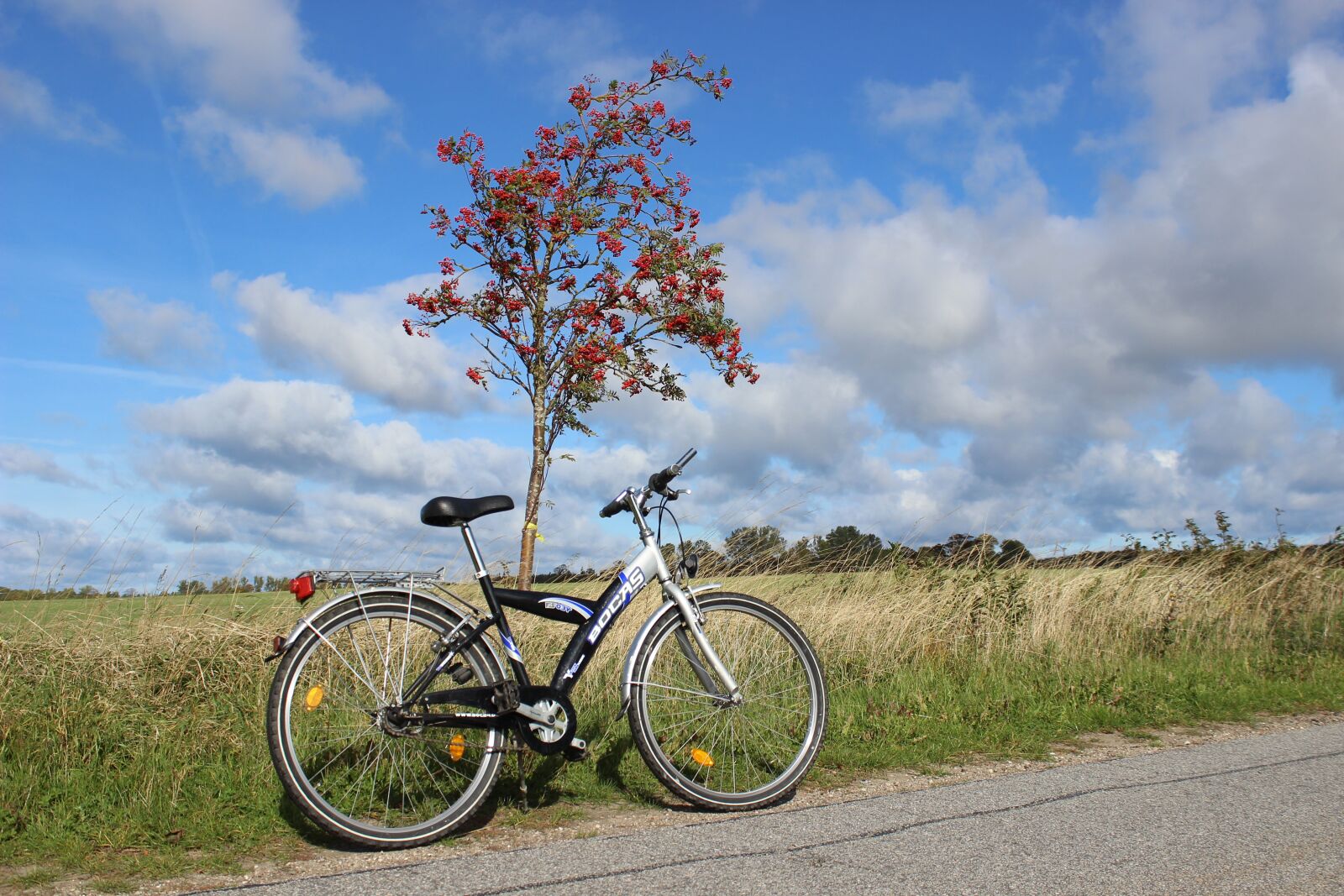 Canon EOS 600D (Rebel EOS T3i / EOS Kiss X5) sample photo. Bike, mountain ash, sky photography