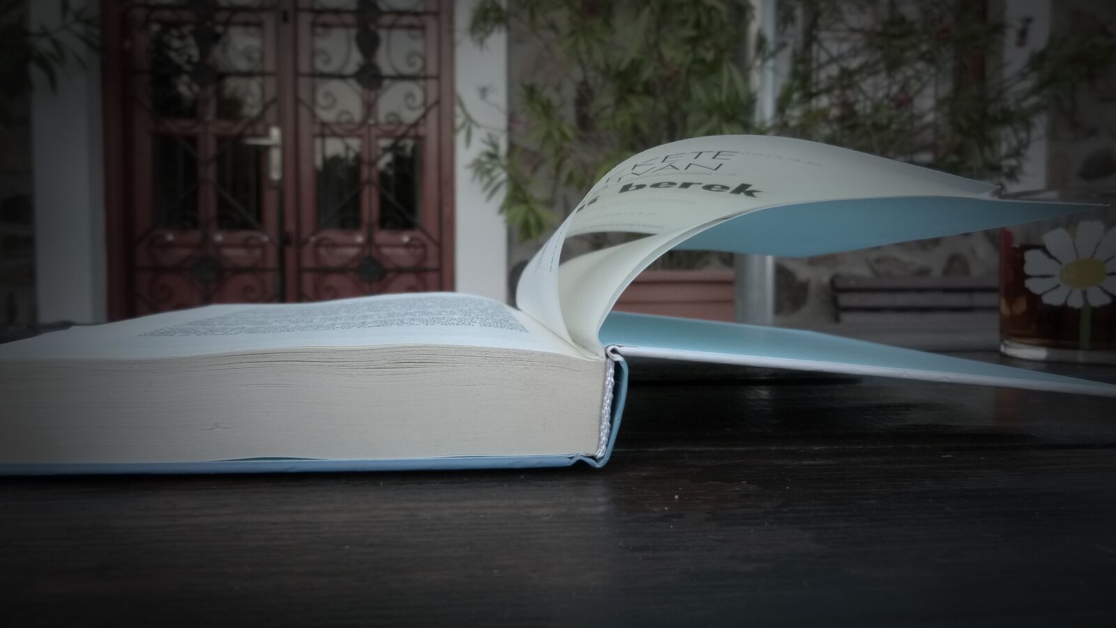 Panasonic Lumix DMC-FZ100 sample photo. Book, paper, reading photography