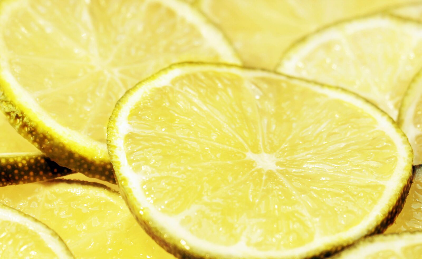 Canon EOS 100D (EOS Rebel SL1 / EOS Kiss X7) sample photo. Lime, lime slices, lemons photography