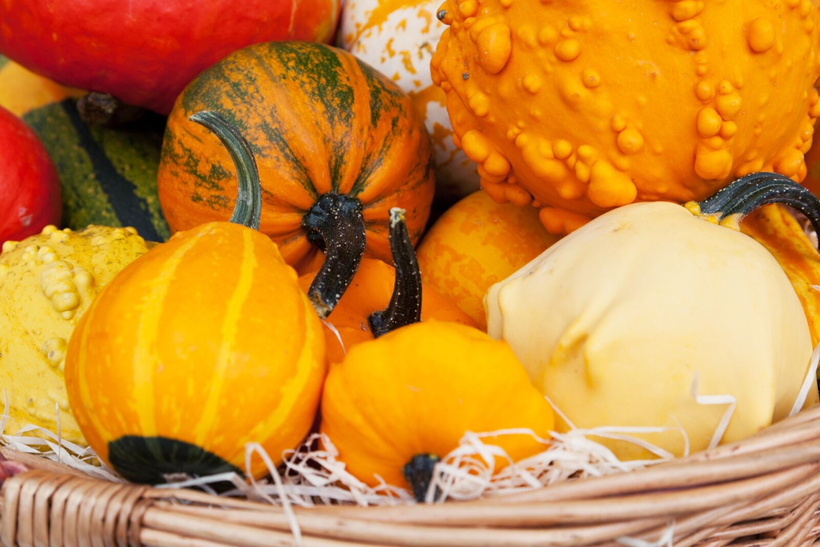 Canon EOS 5D Mark II sample photo. Agriculture, autumn, basket, colorful photography