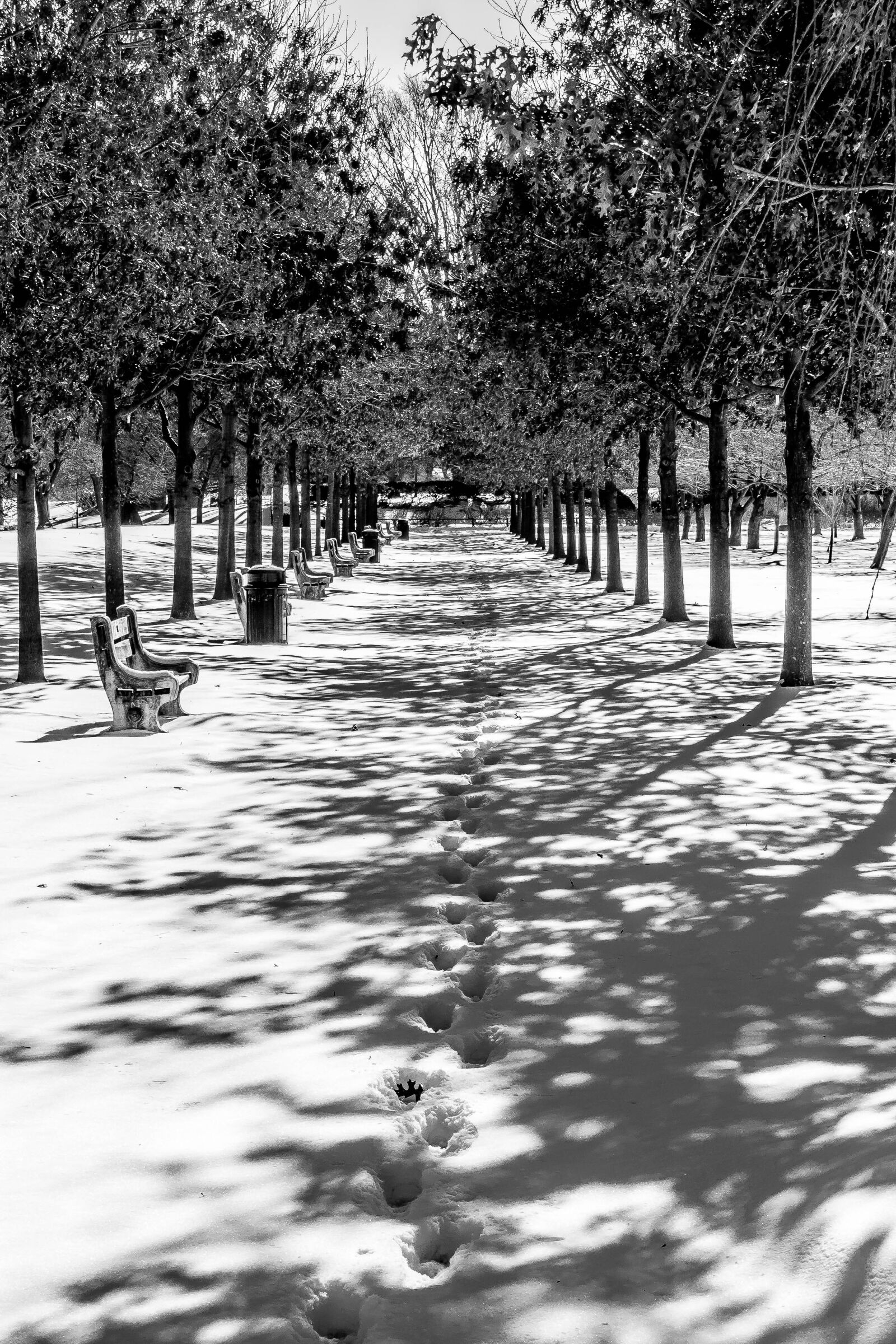 Canon EOS 1000D (EOS Digital Rebel XS / EOS Kiss F) sample photo. B, w, benches, footsteps photography