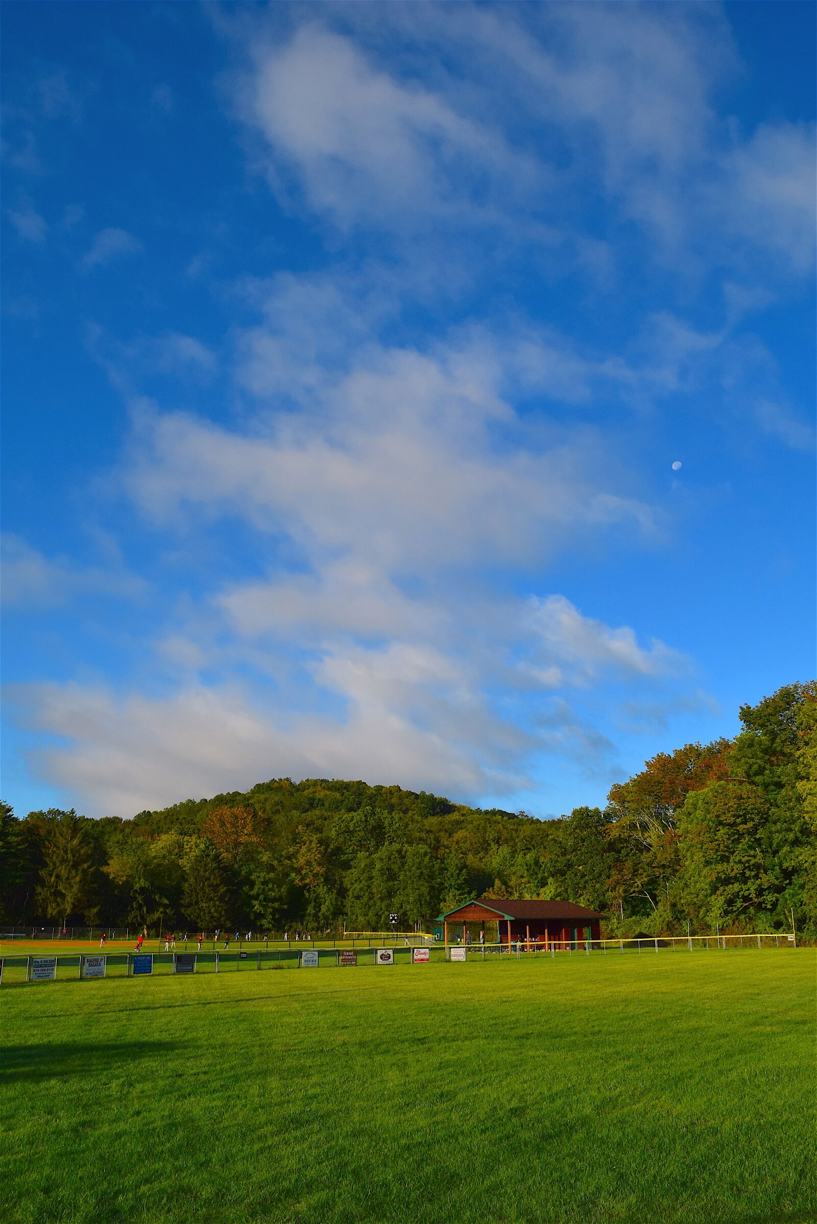 Nikon D3300 sample photo. Field, sunrise, green photography