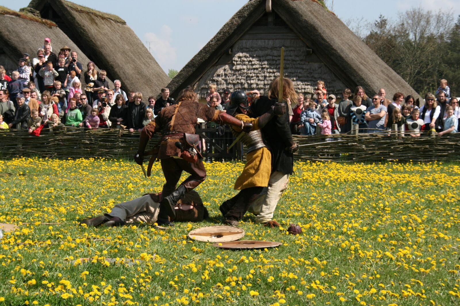 Sigma 18-200mm f/3.5-6.3 DC OS sample photo. Vikings photography
