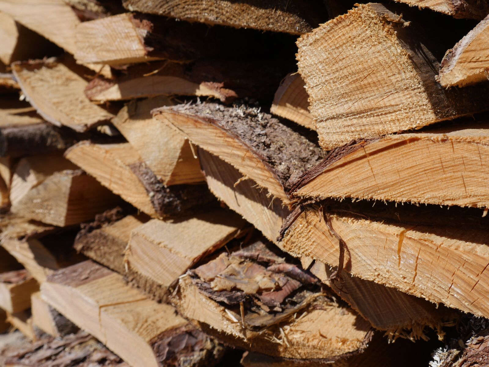 Panasonic Lumix DMC-GX8 sample photo. Firewood, tree, wood photography