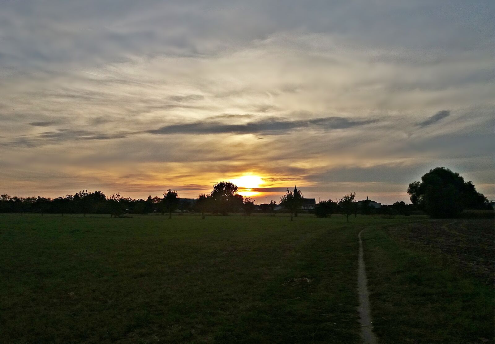 Samsung Galaxy J5 sample photo. Field, meadow, landscape photography