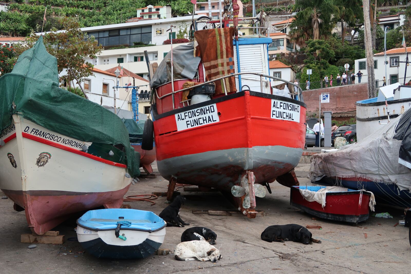 Canon PowerShot G7 X Mark II sample photo. Madeira, transportation system, water photography