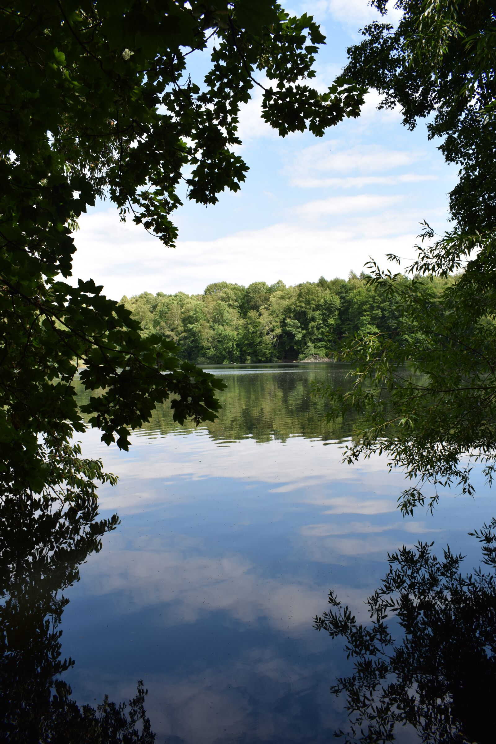 Nikon D5300 sample photo. Lake, water, forest photography