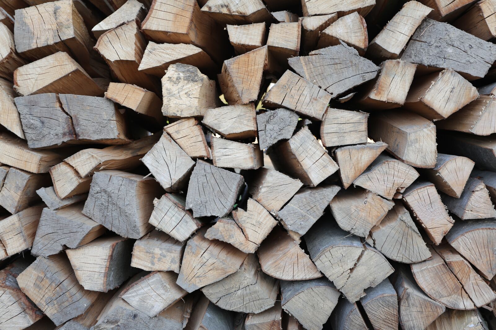 Canon EF 17-40mm F4L USM sample photo. Lena, log in, stack photography