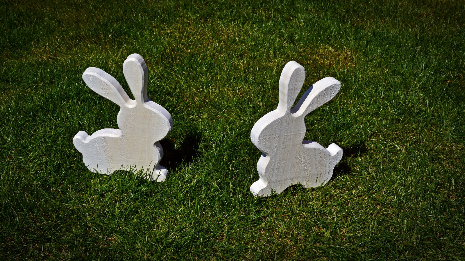 Nikon D5200 sample photo. Hare, deco, easter photography