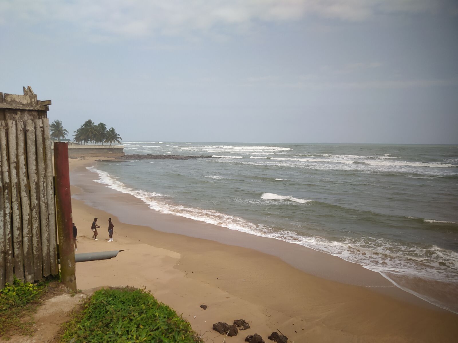 Xiaomi Redmi Note 8 sample photo. Beech, nature, coast photography