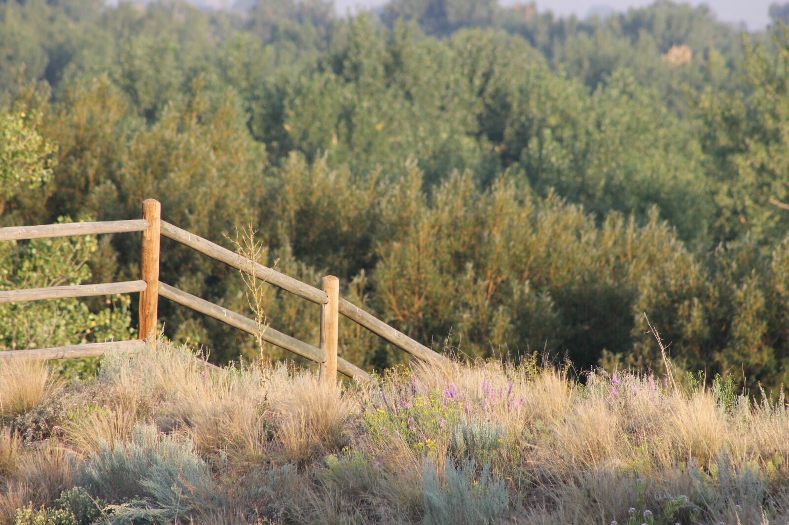 Canon EOS 1100D (EOS Rebel T3 / EOS Kiss X50) sample photo. Fence, trees, landscape photography