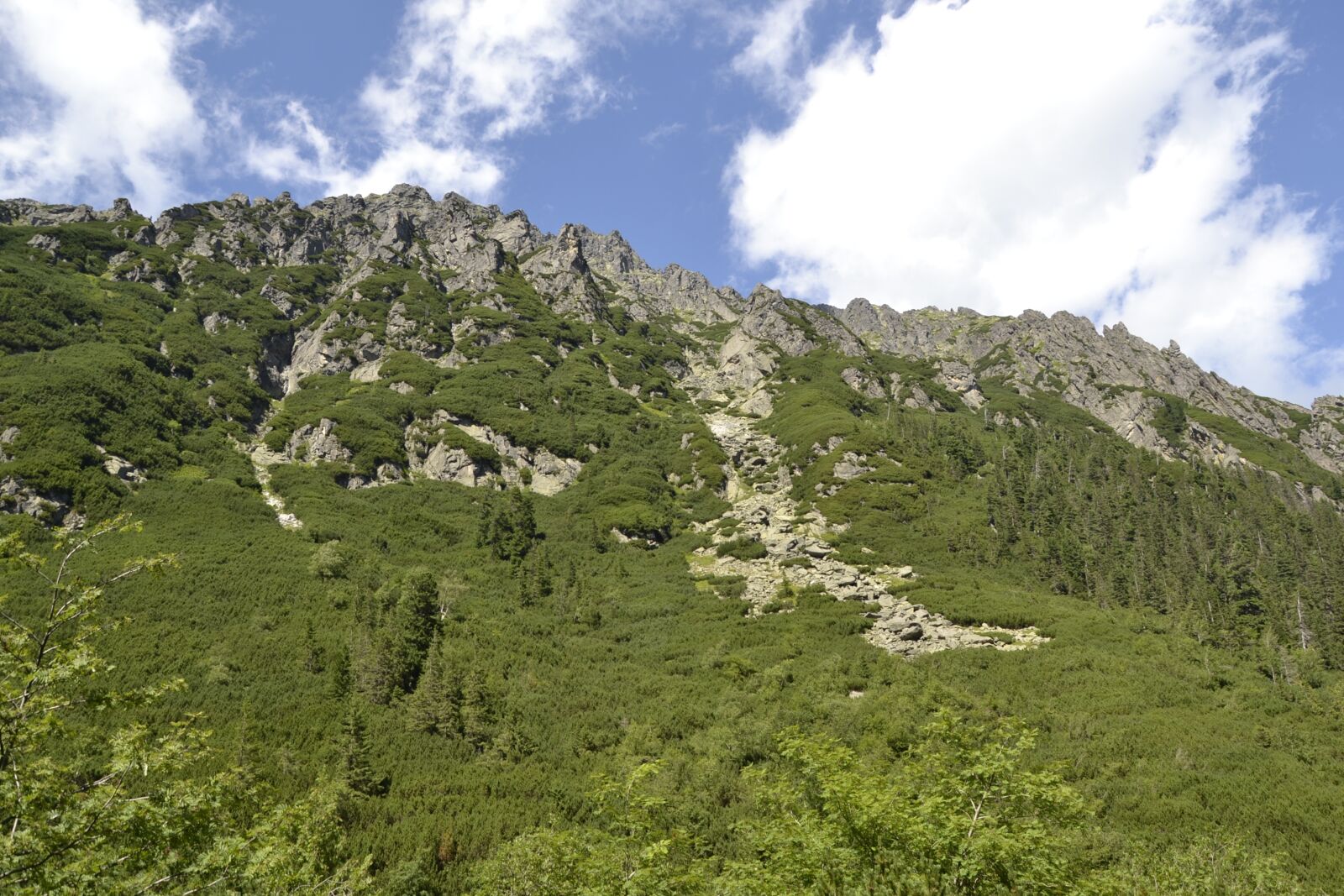 Nikon D3100 sample photo. Mountains, buried, valley of photography