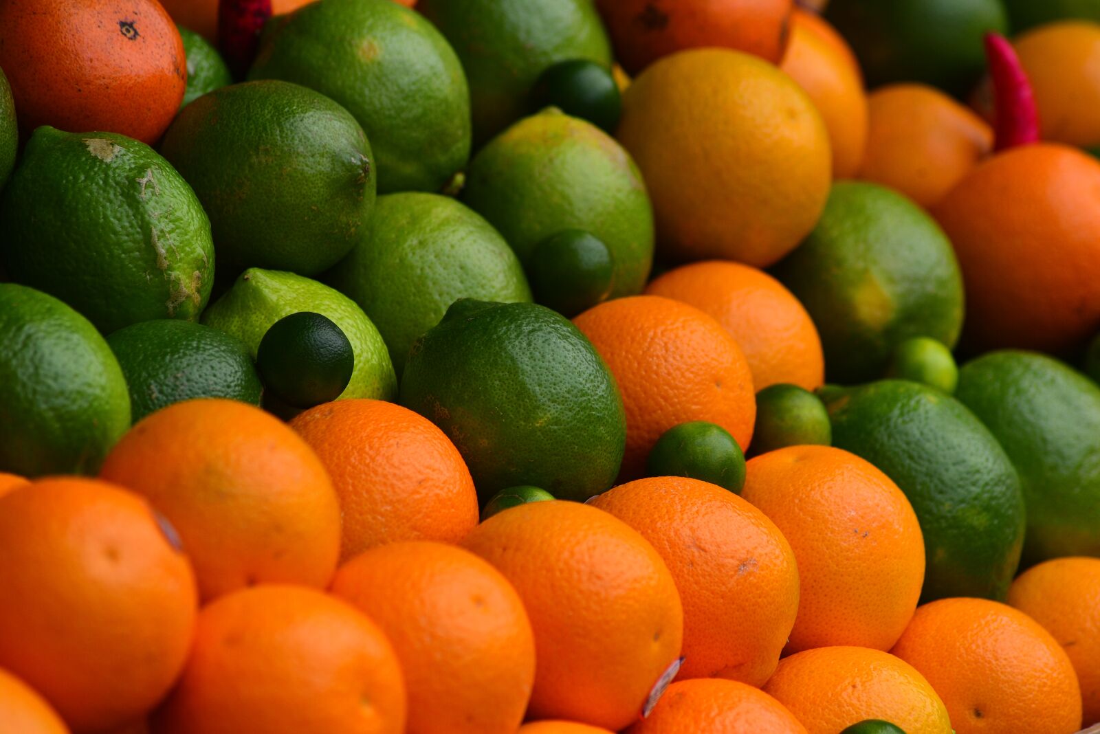 Nikon D750 sample photo. Kumquat, orange, fruit photography