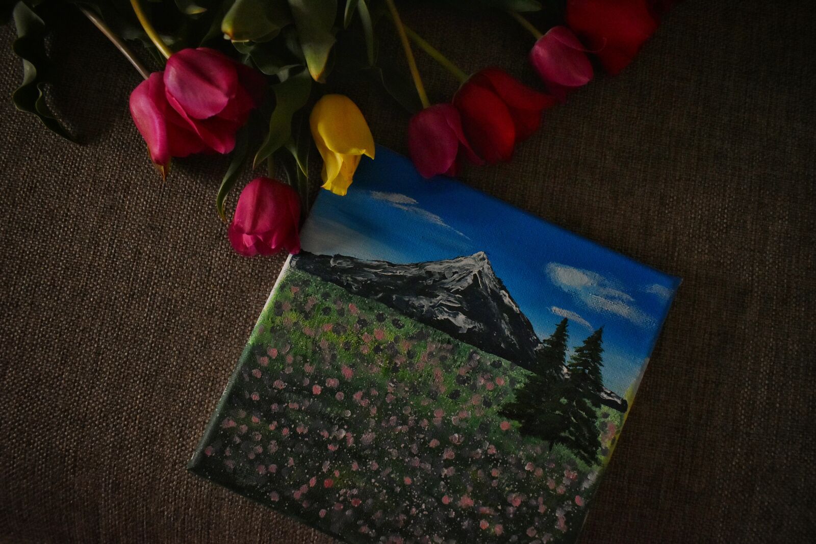 Nikon D3500 sample photo. Tulips, flowers, spring photography