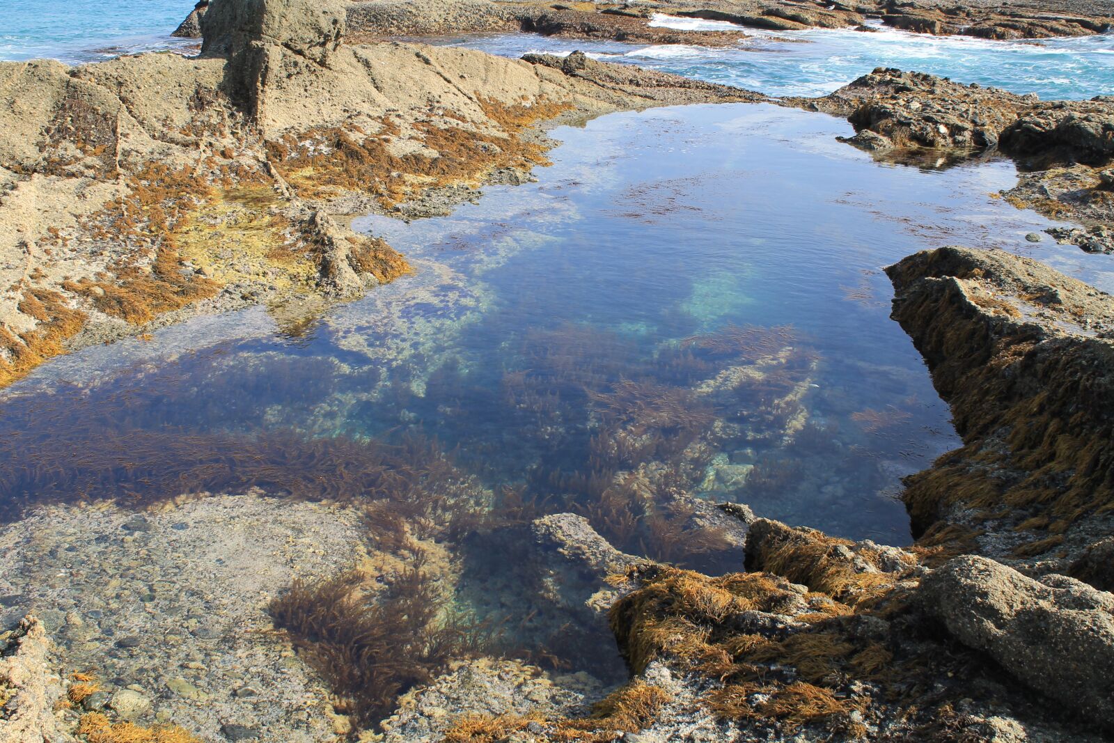 Canon EOS 1100D (EOS Rebel T3 / EOS Kiss X50) sample photo. Tide pool, ocean, water photography