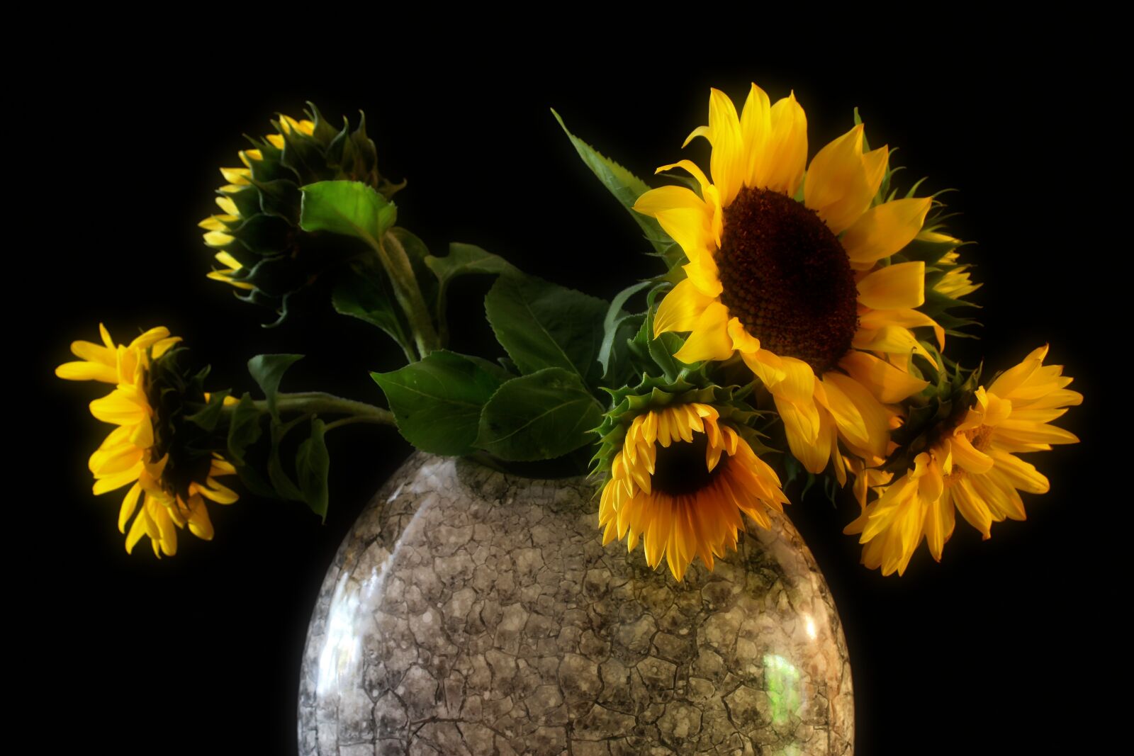 Canon EOS 1300D (EOS Rebel T6 / EOS Kiss X80) + Canon EF-S 60mm F2.8 Macro USM sample photo. Sunflower, vase, bouquet photography