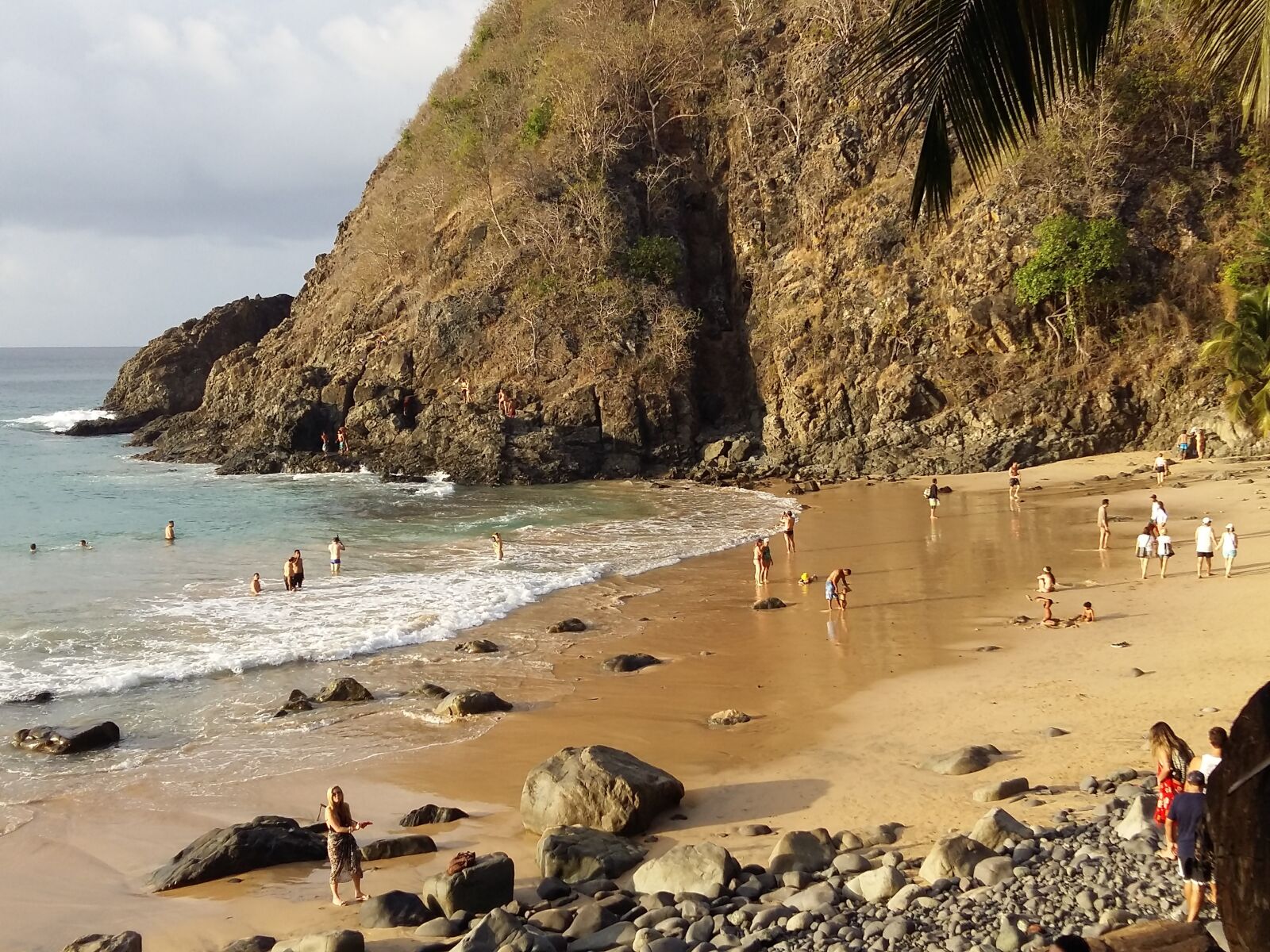 Samsung Galaxy A5 sample photo. Dog beach, noronha, brazil photography