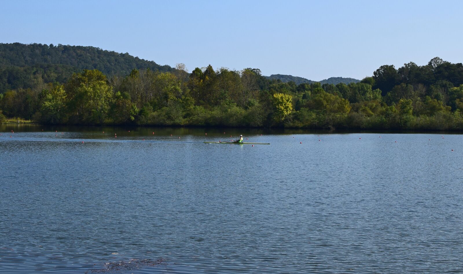 Nikon D3300 sample photo. Scull rower, scull rowing photography