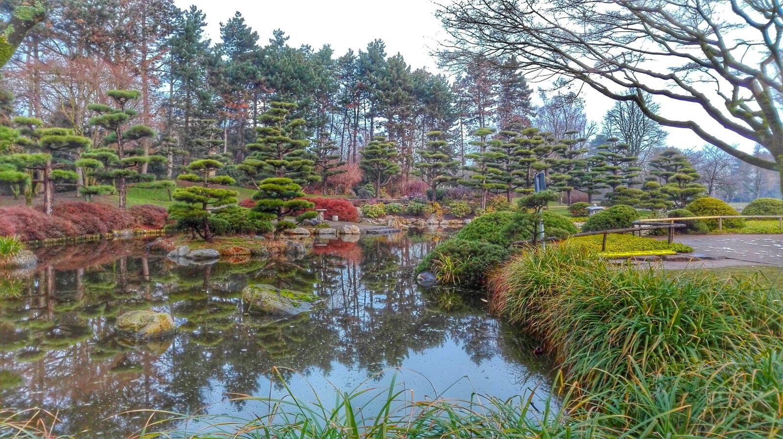 HUAWEI P8 Lite sample photo. Autumn, japanese garden, japan photography