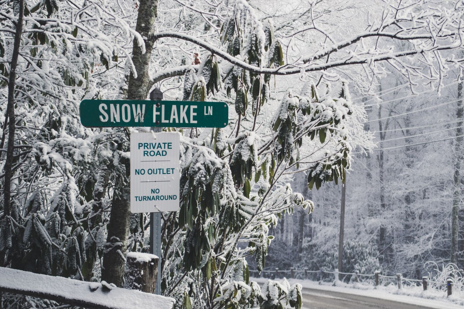 Nikon D3100 sample photo. Snow, winter, road photography