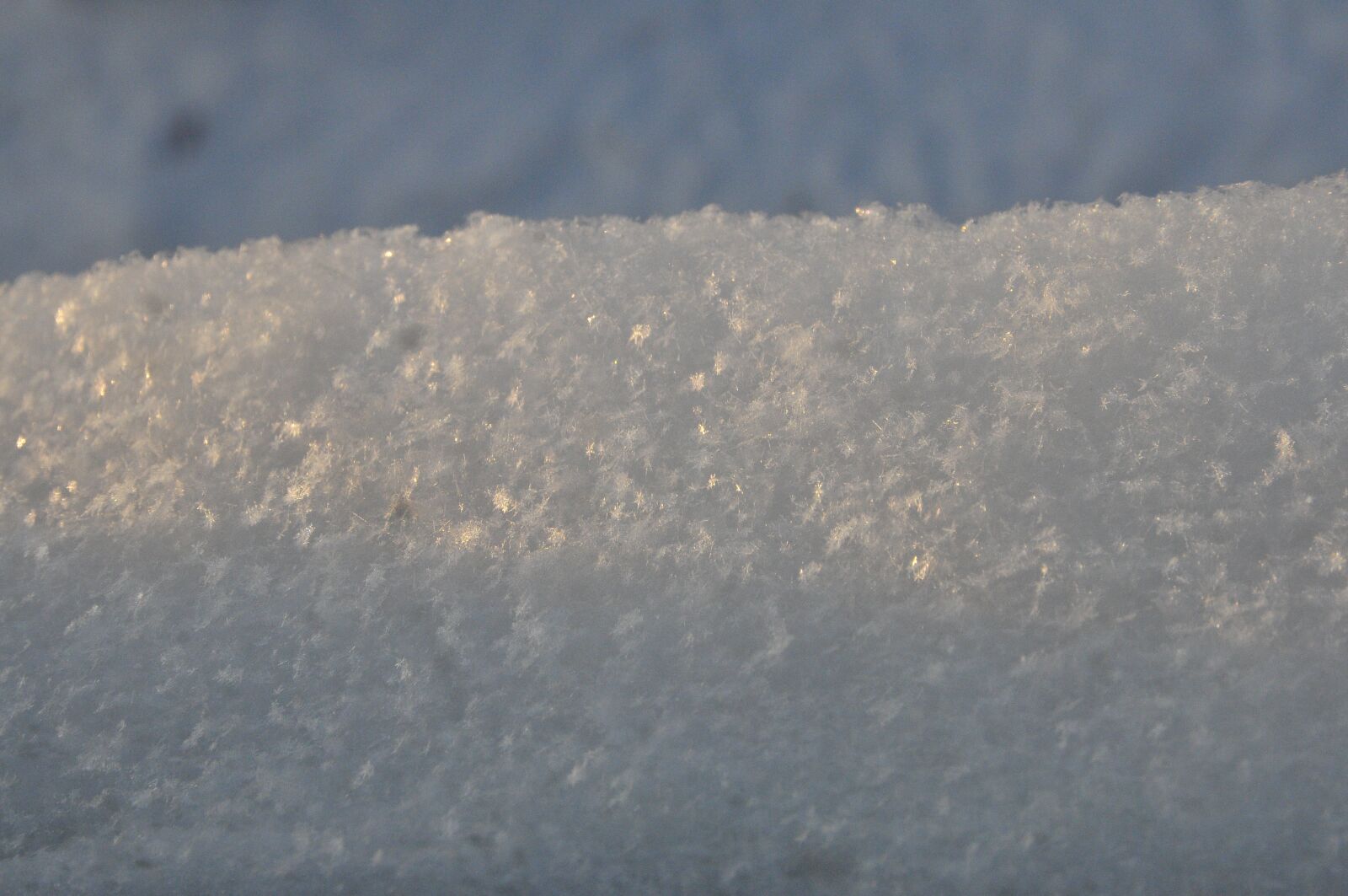 Nikon D300S sample photo. Snow, frost, winter photography