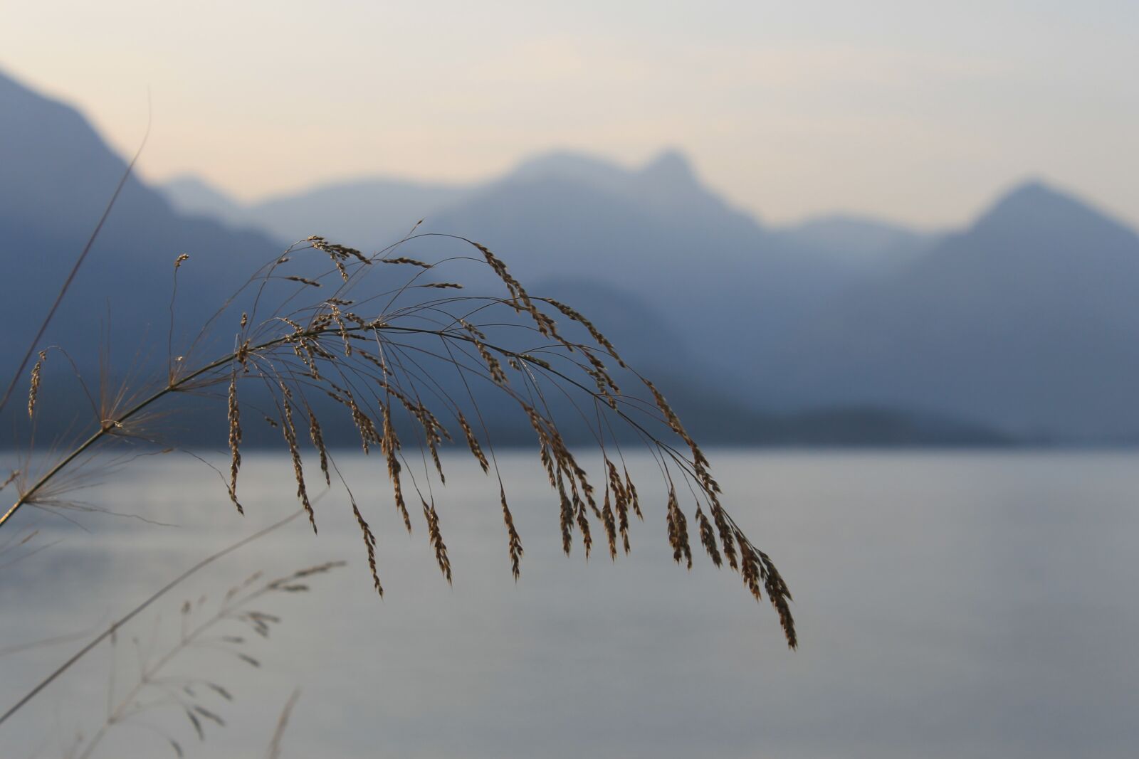 Canon EOS 1100D (EOS Rebel T3 / EOS Kiss X50) sample photo. Sea, mountains, kolos photography