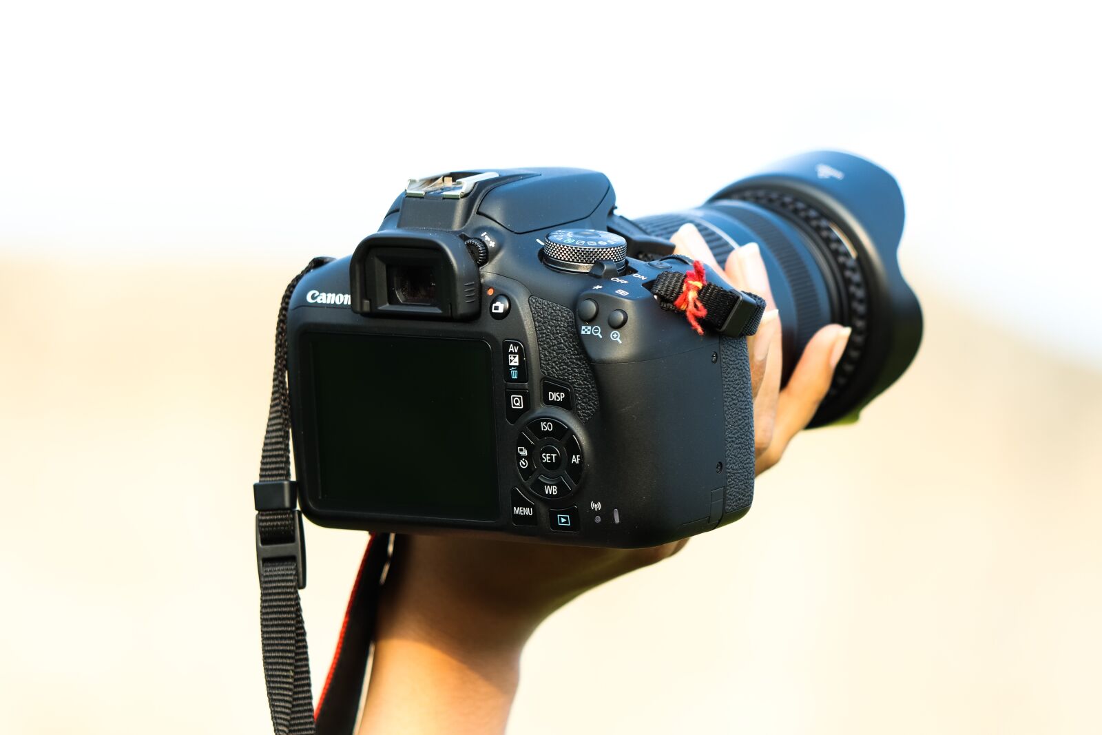 Canon EOS 77D (EOS 9000D / EOS 770D) + Canon EF 70-300 F4-5.6 IS II USM sample photo. Camera, digital, portable photography