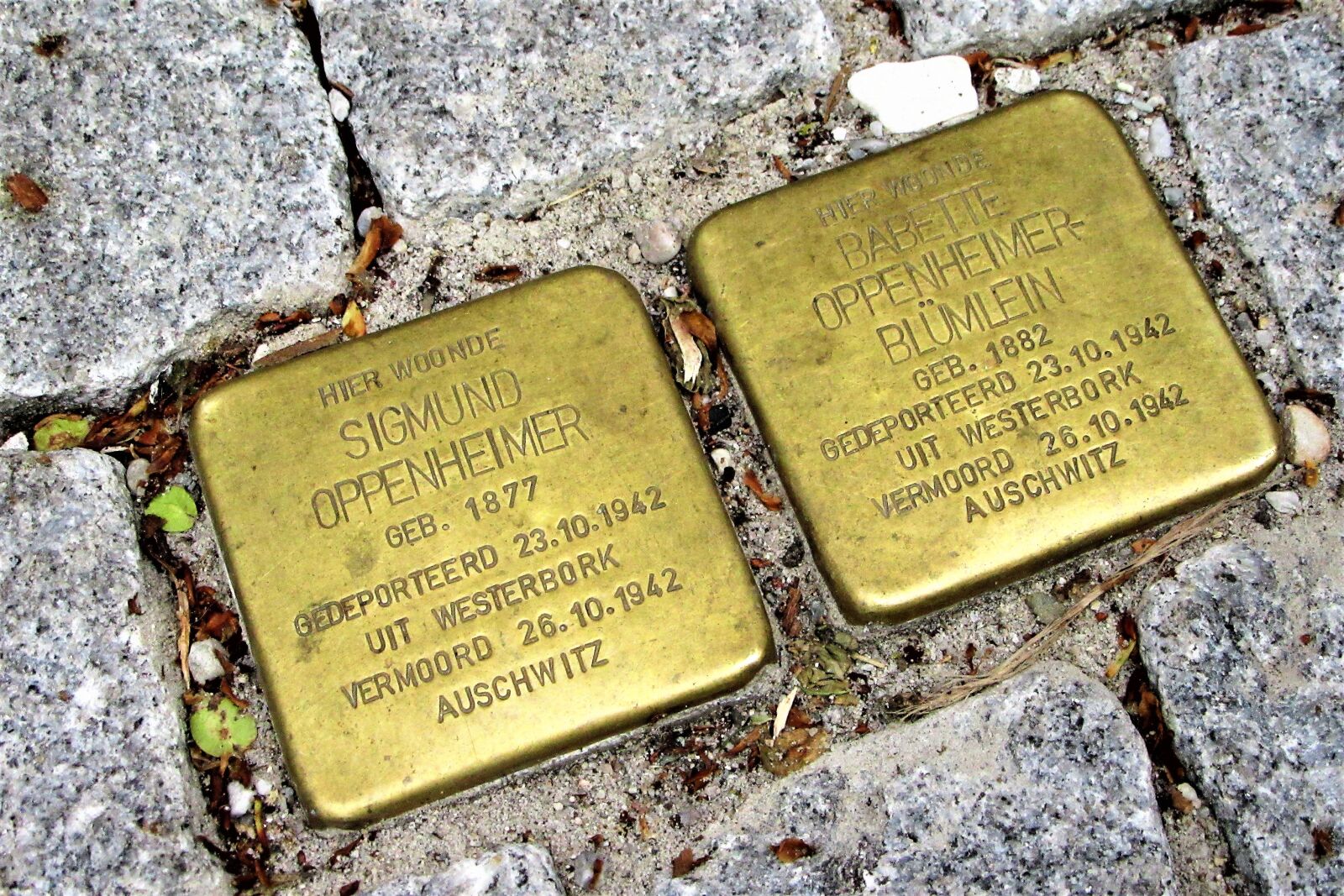 Canon PowerShot SX610 HS sample photo. Monument, europe, shoah photography