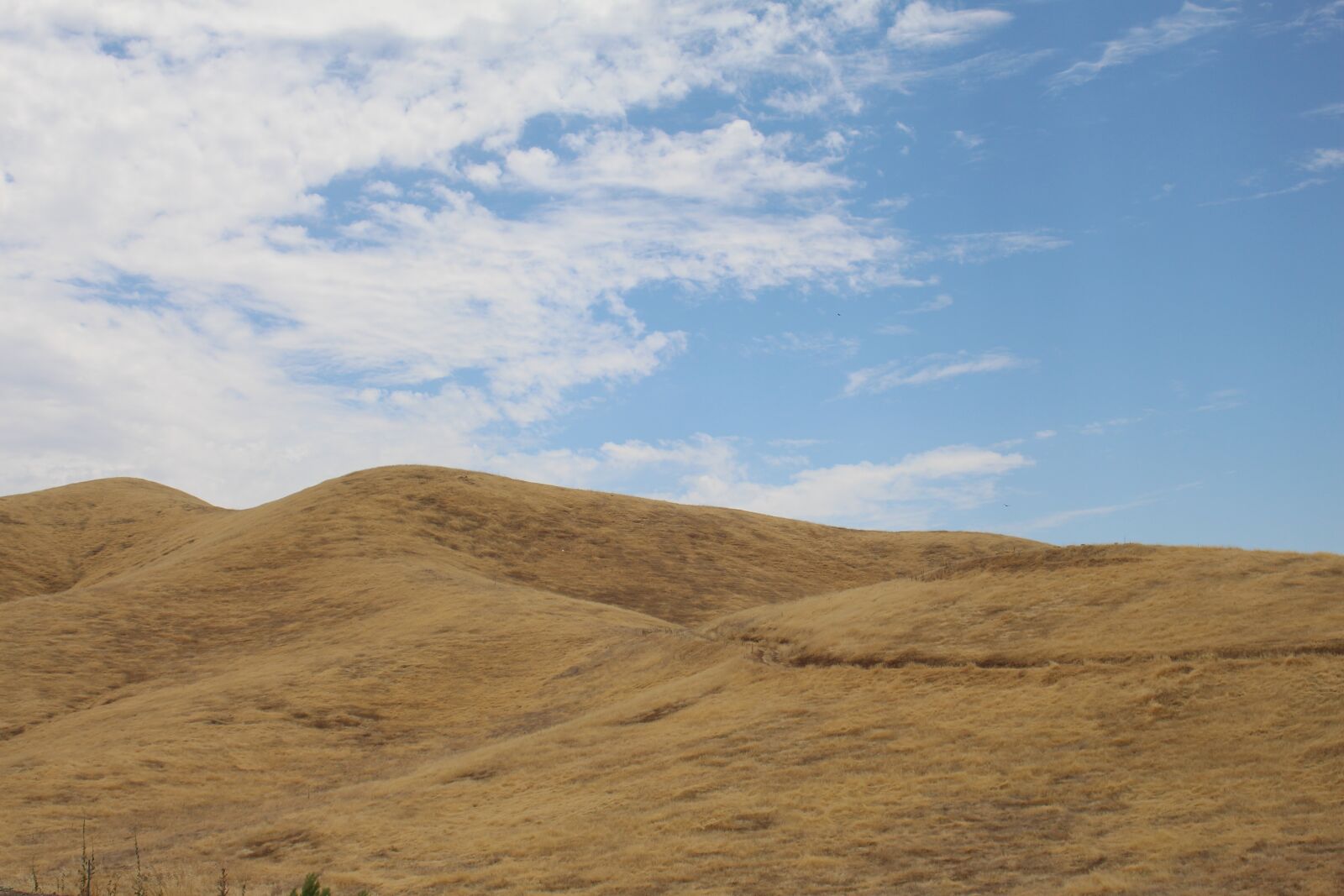 Canon EOS 700D (EOS Rebel T5i / EOS Kiss X7i) sample photo. Hills, summer sky, sky photography