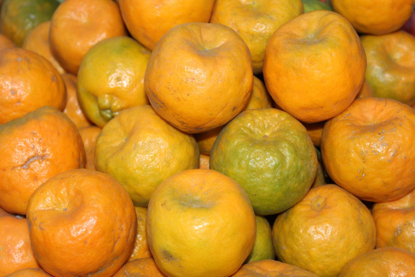 Canon EOS 1300D (EOS Rebel T6 / EOS Kiss X80) sample photo. Orange, food, organic photography