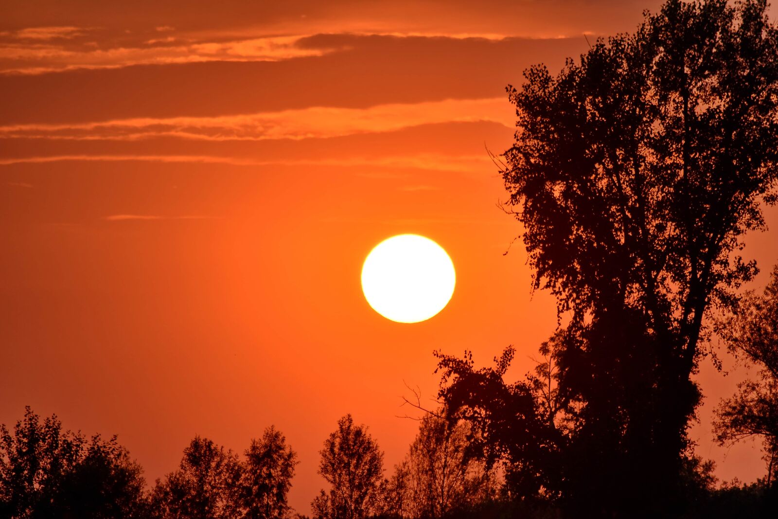 Nikon D5500 sample photo. Shadow, sun, sunrays, sunset photography