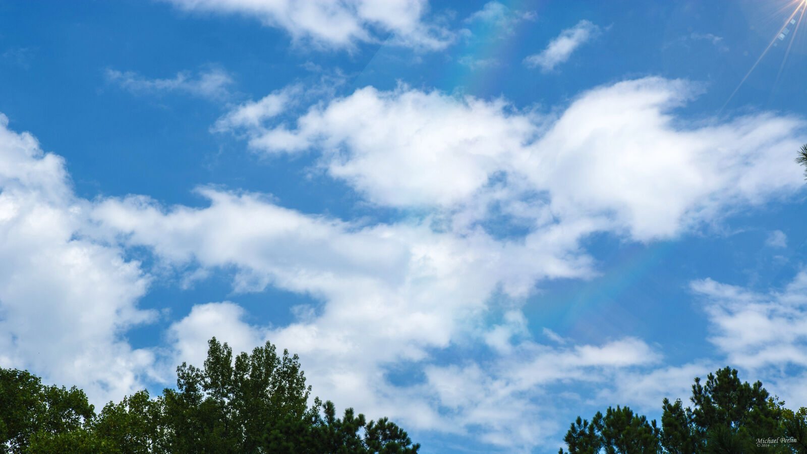 Nikon D7100 sample photo