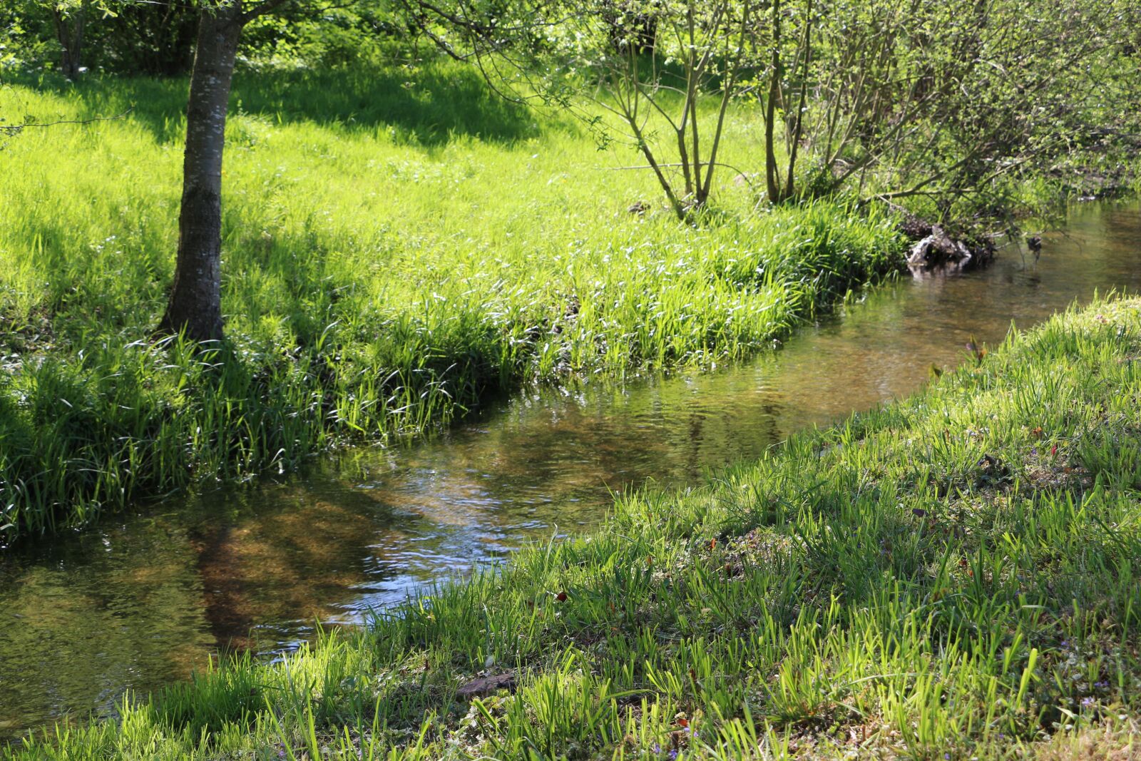 Canon EOS 700D (EOS Rebel T5i / EOS Kiss X7i) + Canon EF-S 18-135mm F3.5-5.6 IS STM sample photo. Creek, spring, landscape photography