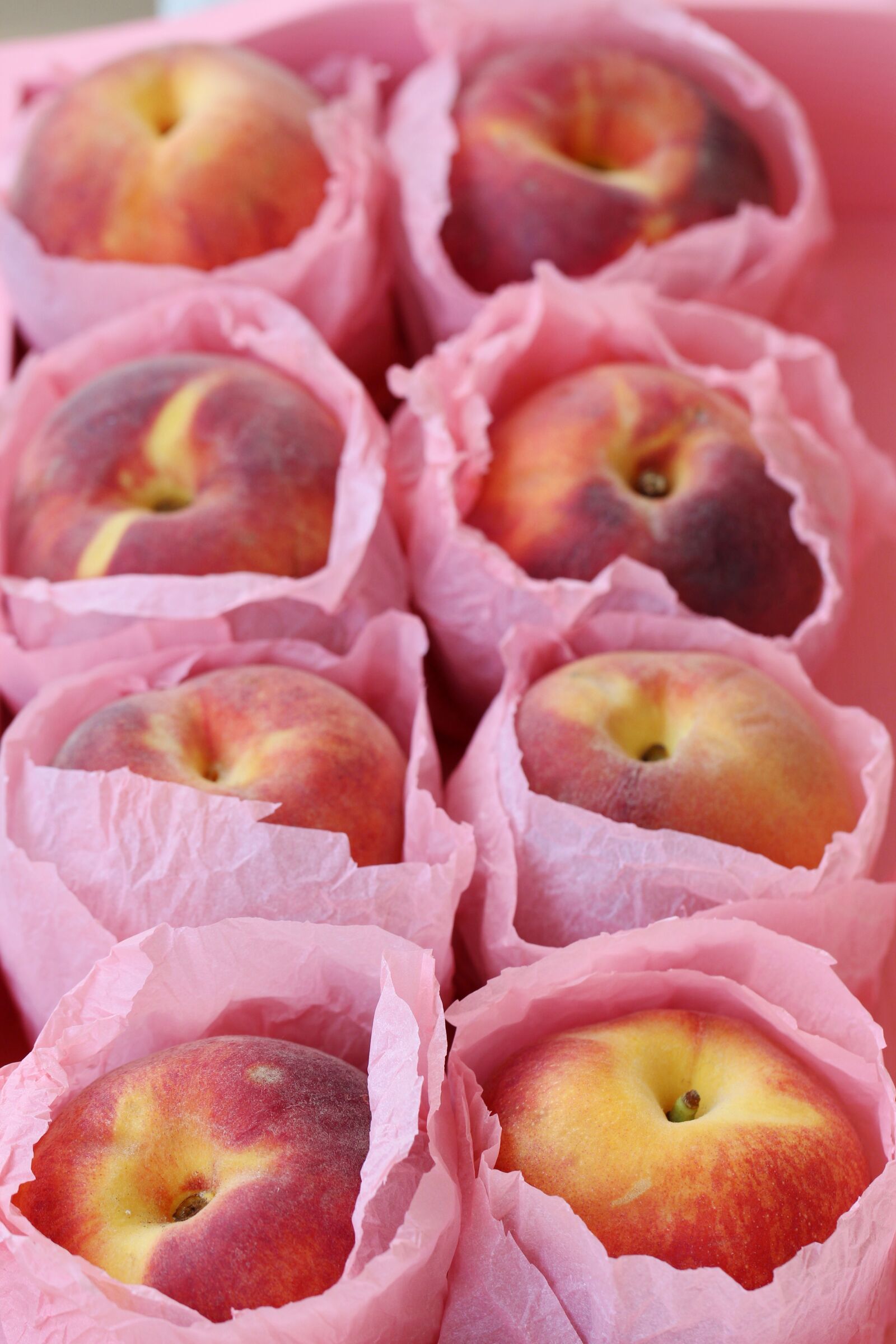 Canon EF 100mm F2.8L Macro IS USM sample photo. Peach, nectarine, fruit photography