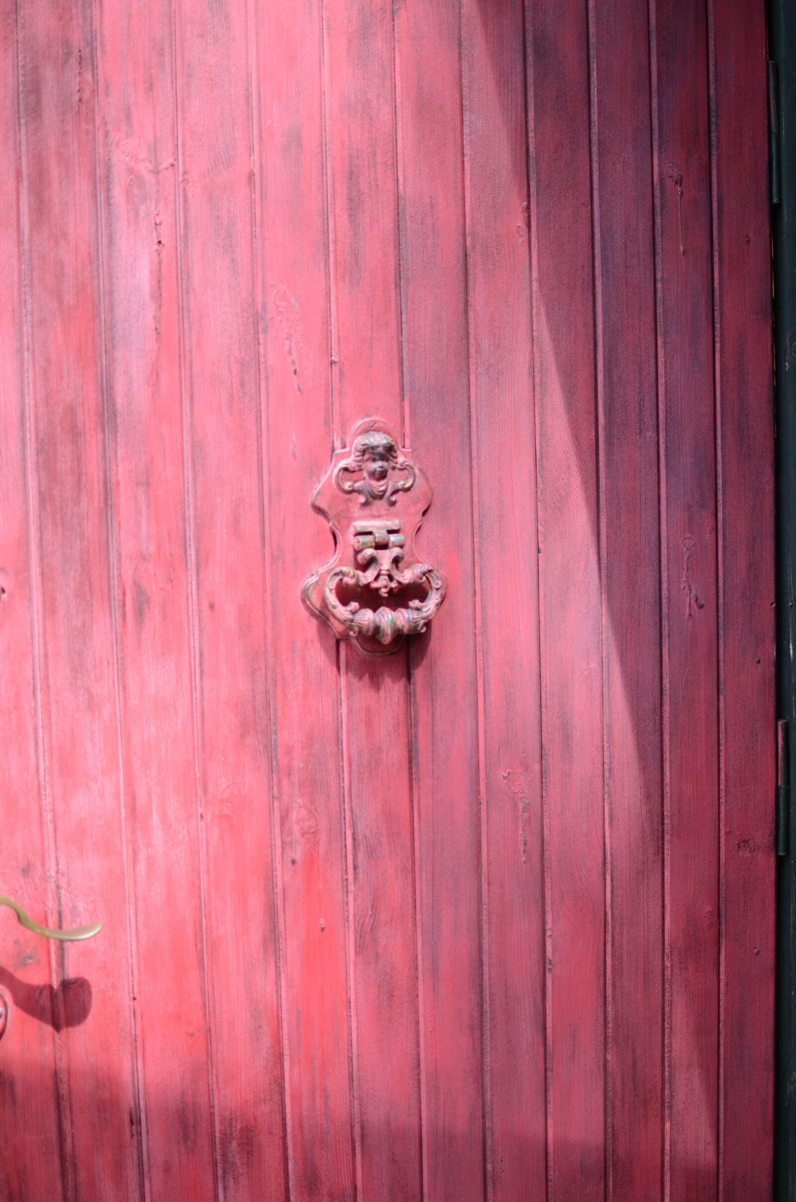 Nikon D7000 sample photo. The door, roses, the photography